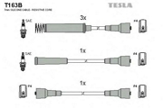 TESLA T * * * B