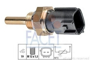 Facet 7 * * * 5