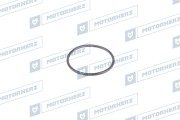 Motorherz H * * * 3