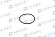 Motorherz H * * * 5