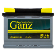 GANZ GA550 