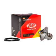 BM-Motorsport T * * * 1
