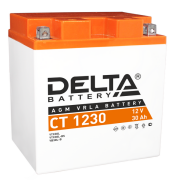 DELTA battery CT1230 Battery